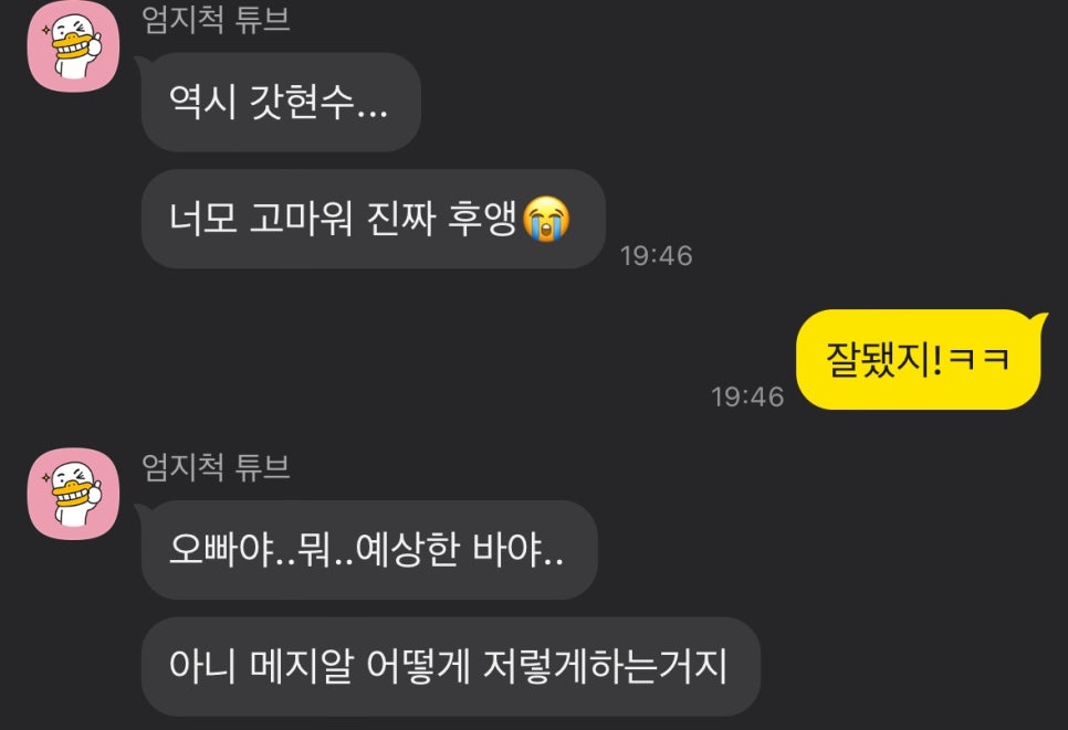 동기 치과의사의 부탁으로 어금니 신경치료만 마무리 해드린 케이스 관련 이미지 7