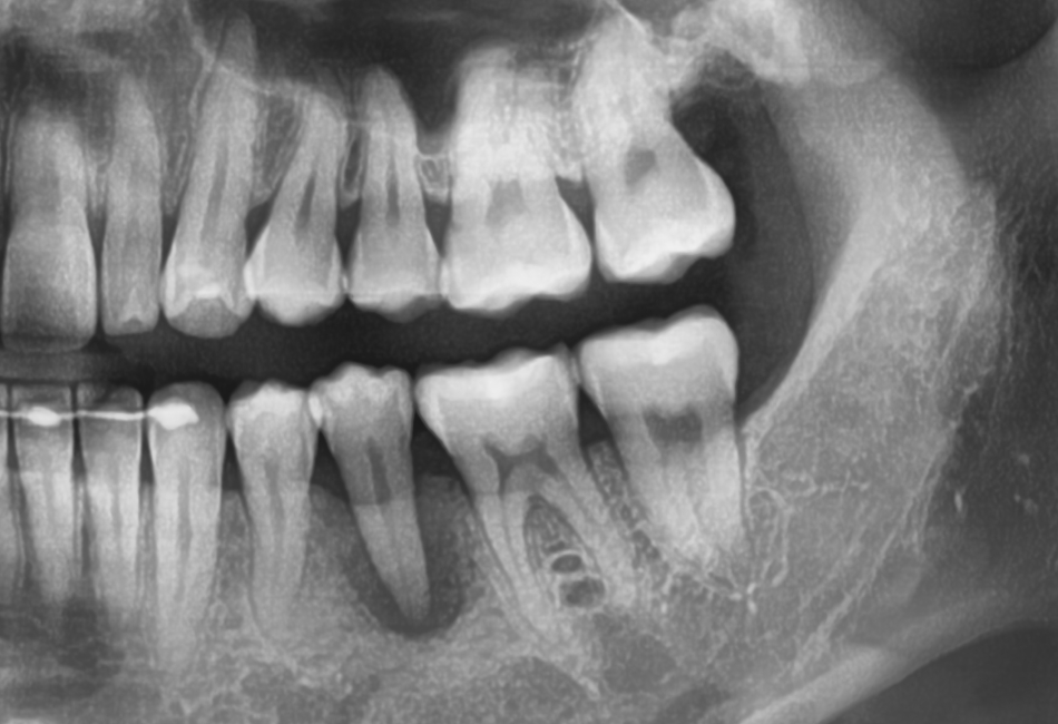페이닥터 일기 : 페닥은 발전하고 싶다 관련 이미지 2