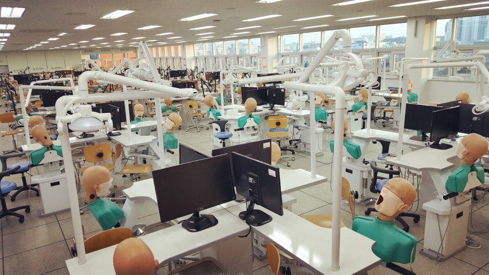 치과 실습 토마스(팬텀) 마네킹 구입 리뷰 관련 이미지 1