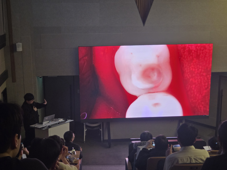 치과의사 대상으로 앞니 레진 빌드업 강의하고 왔습니다 관련 이미지 6