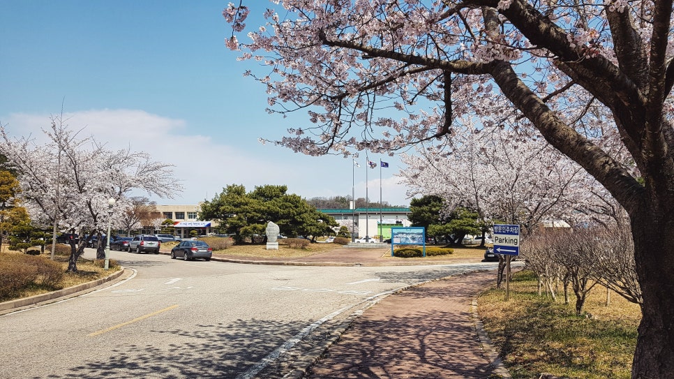 교도소 수용자를 대학병원에 입원시킨 치과의사 이야기 관련 이미지 1