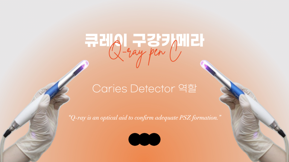 치과의사 대상으로 앞니 레진 빌드업 강의하고 왔습니다 관련 이미지 5