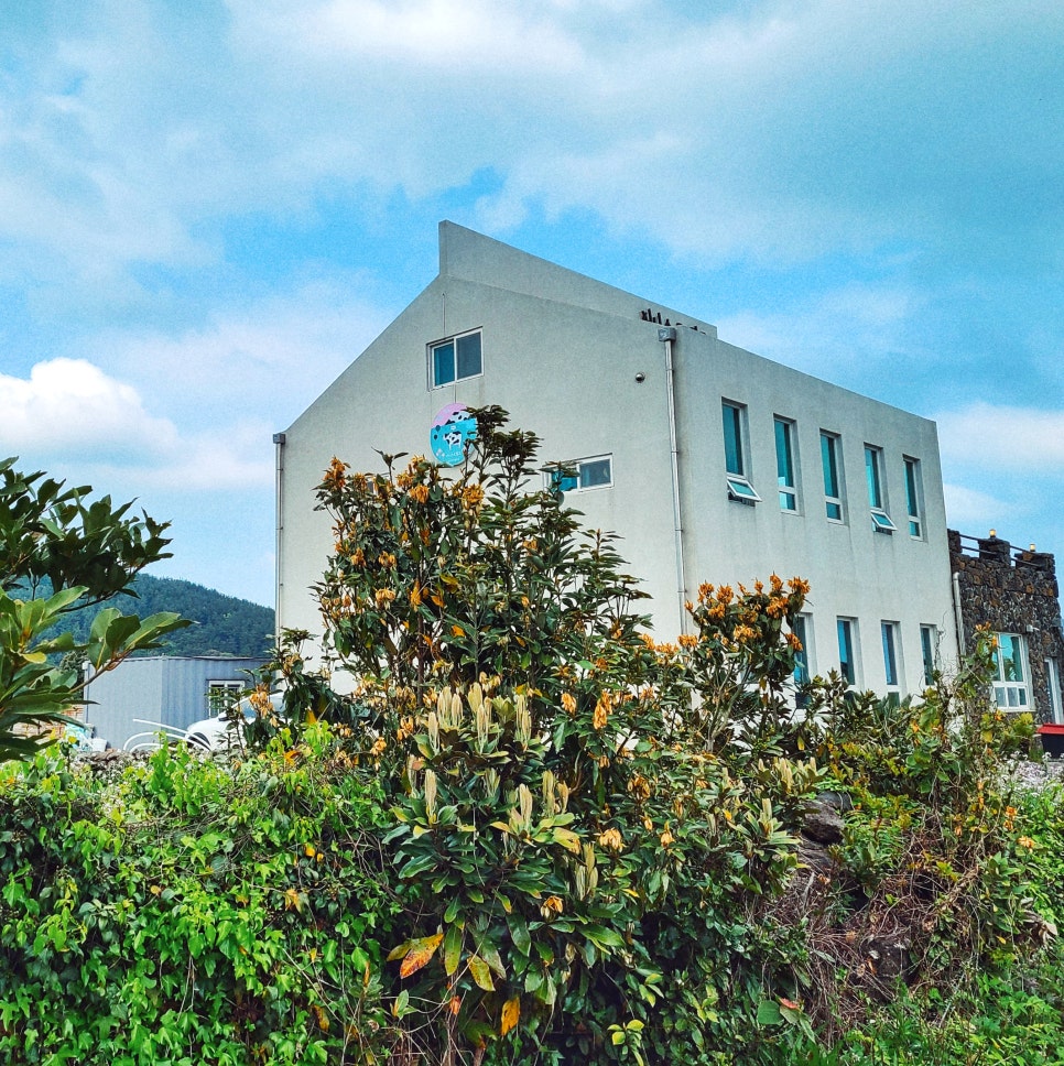 3박4일 제주~ 인스타에 안올린 사진만 관련 이미지 13