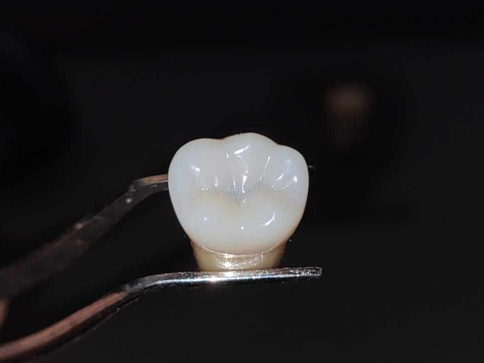 12주차 페닥 일기 : 저축률 80%달성 (80.577%) 관련 이미지 3