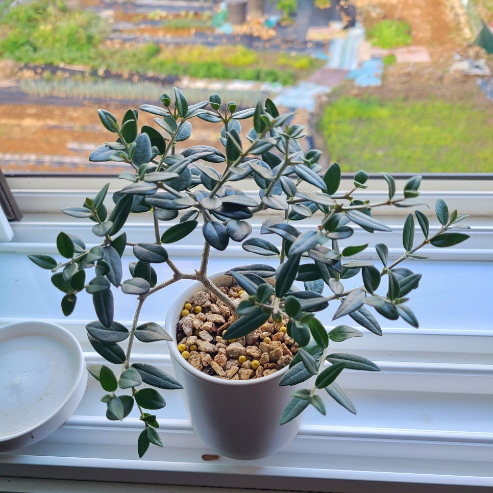 두 달 만근 일상 일기 관련 이미지 2