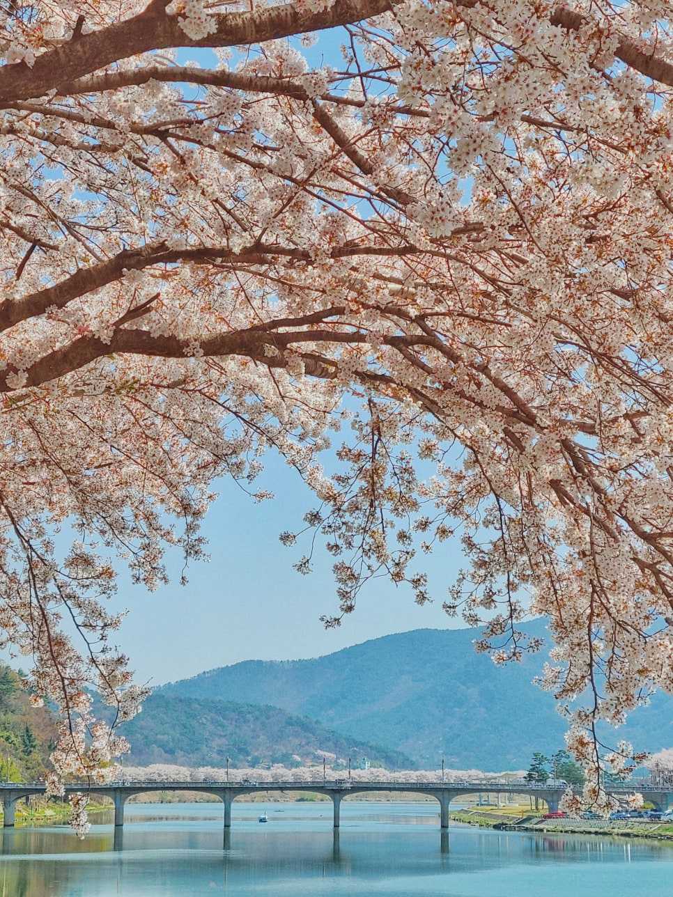 페닥 일기 시작 : 동네 구경 관련 이미지 1