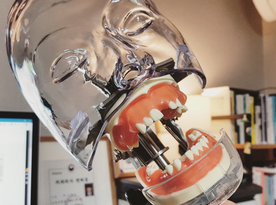 20년5월30일 / 김영삼원장님 임플란트 모델실습 관련 이미지 3