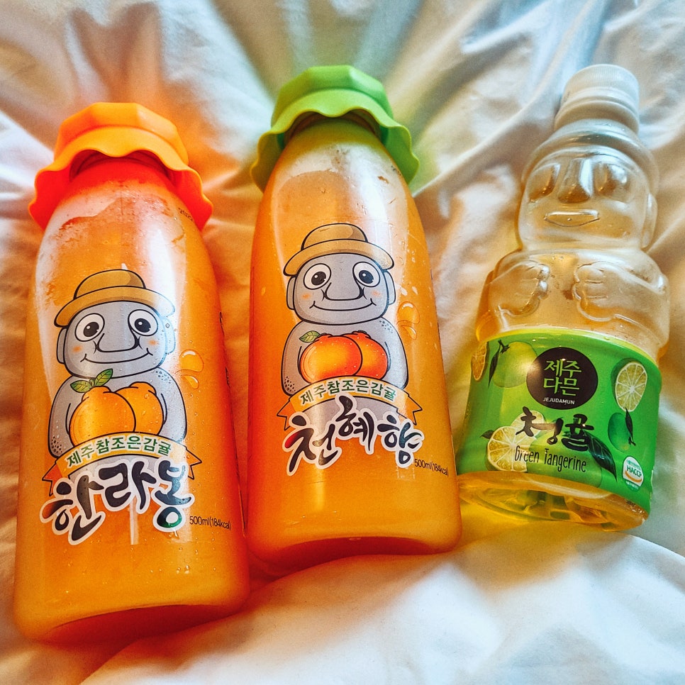 3박4일 제주~ 인스타에 안올린 사진만 관련 이미지 9