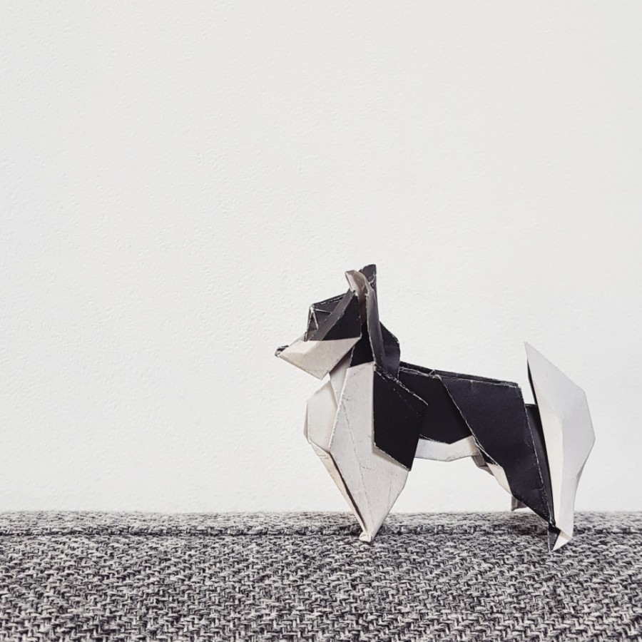 종이접기 1 : 시베리안 허스키 관련 이미지 1