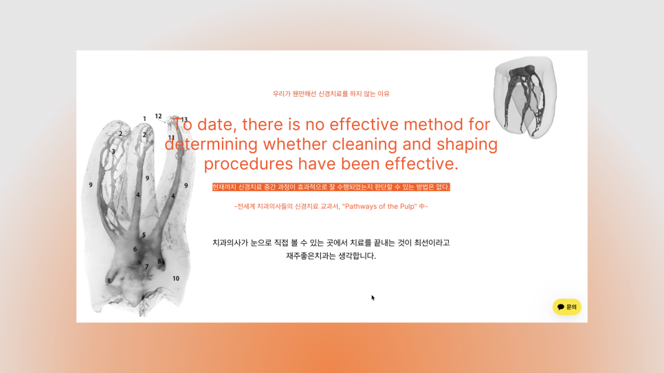 치과의사 대상으로 앞니 레진 빌드업 강의하고 왔습니다 관련 이미지 8