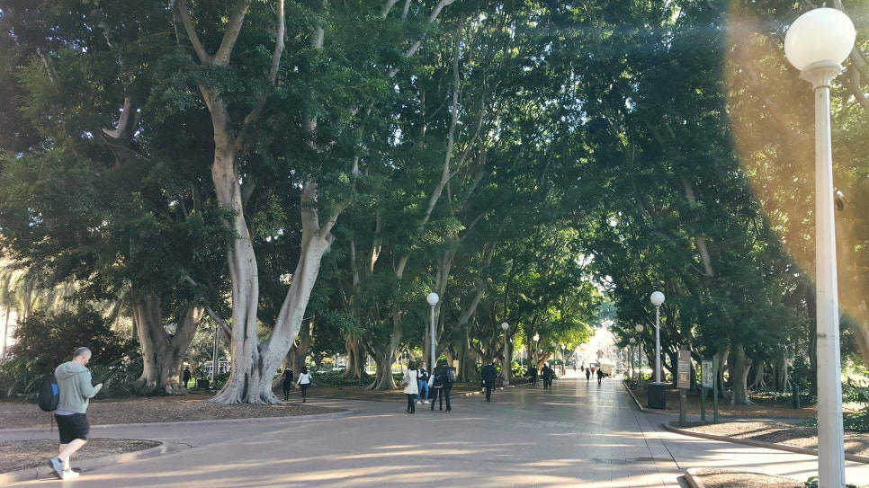 행복의 중심에, 세종 중앙 공원 관련 이미지 1