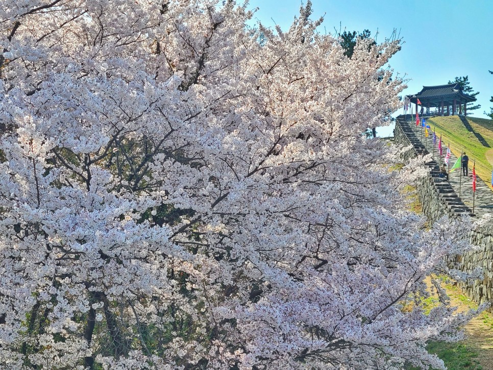 이번주는 일상 일기 관련 이미지 5