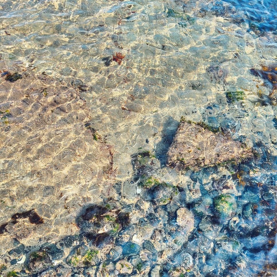 3박4일 제주~ 인스타에 안올린 사진만 관련 이미지 16