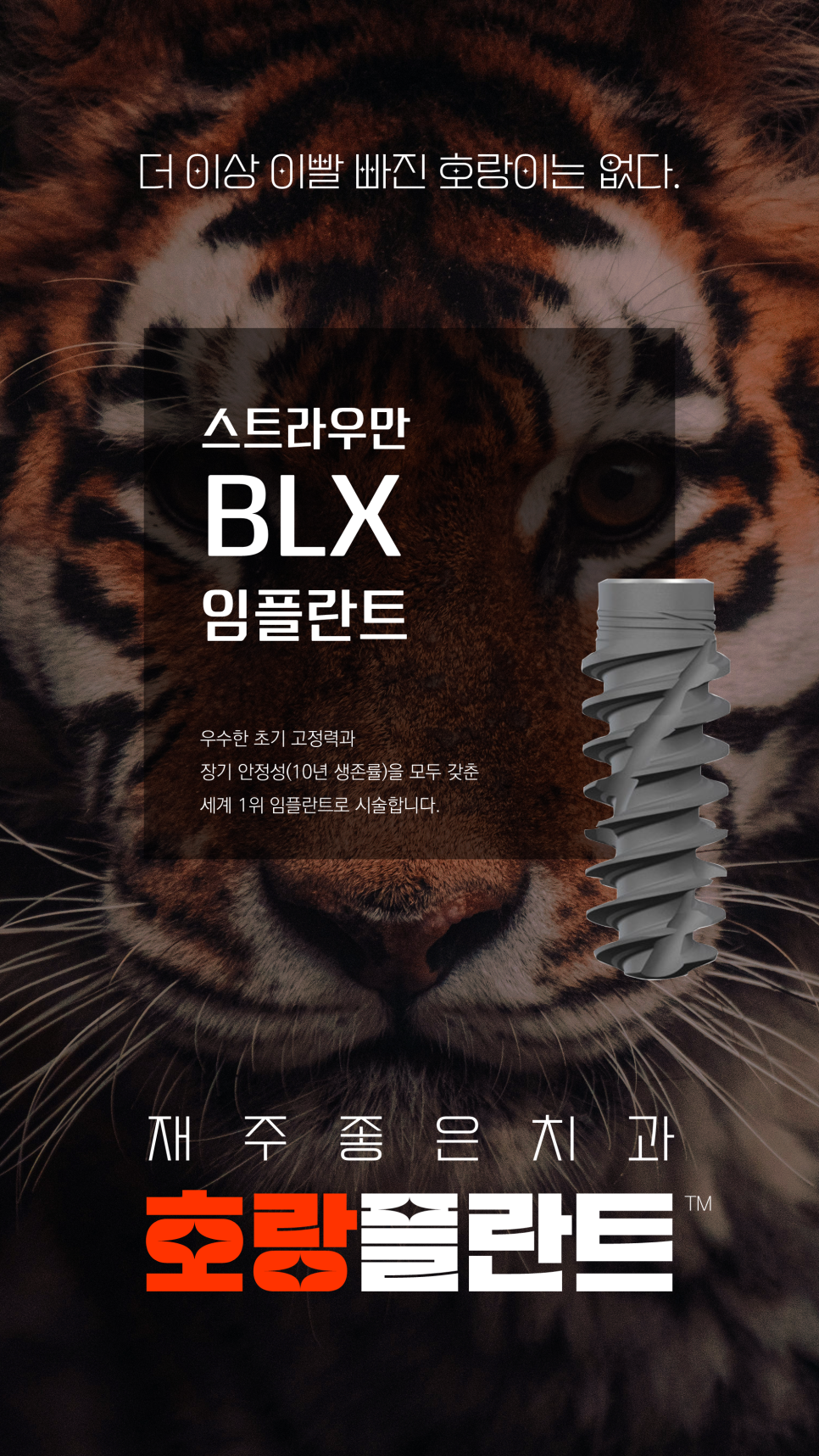 교대역 스트라우만 BLX 임플란트, 스위스산 명품 임플란트 도입 관련 이미지 2