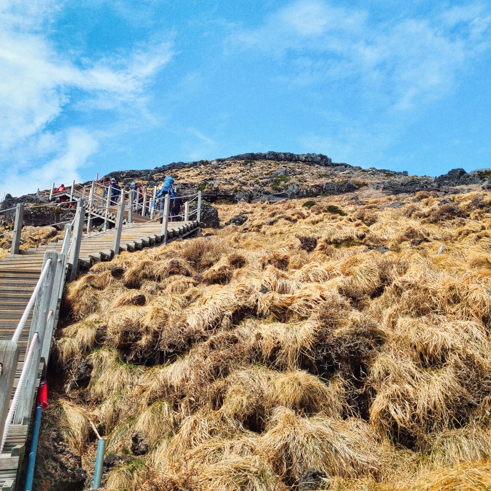 3박4일 제주~ 인스타에 안올린 사진만 관련 이미지 6