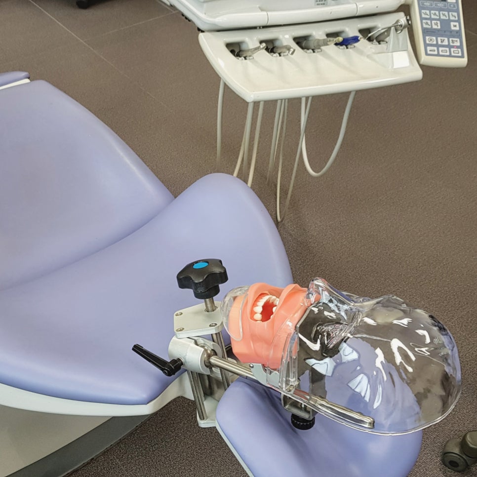 치과 실습 토마스(팬텀) 마네킹 구입 리뷰 관련 이미지 4