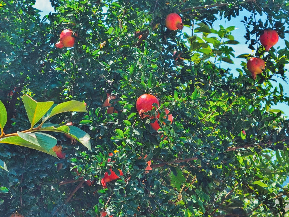 이번주는 일상 일기 관련 이미지 1