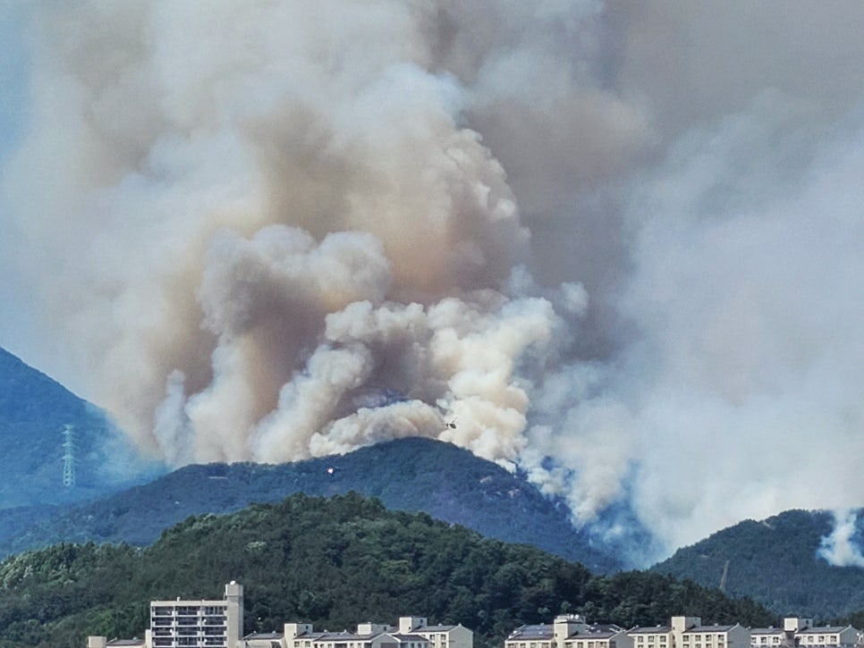 8주차 페닥일기 관련 이미지 3