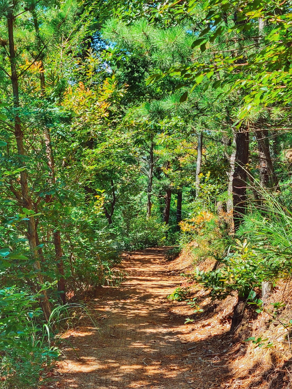 이번주는 일상 일기 관련 이미지 2