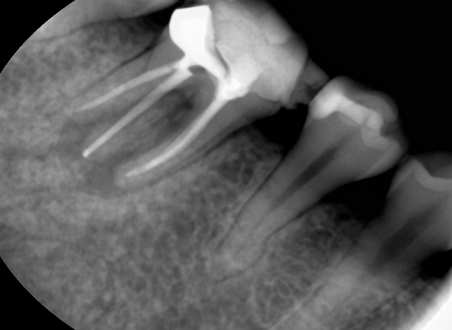 페이닥터 일기 : 페닥은 발전하고 싶다 관련 이미지 4