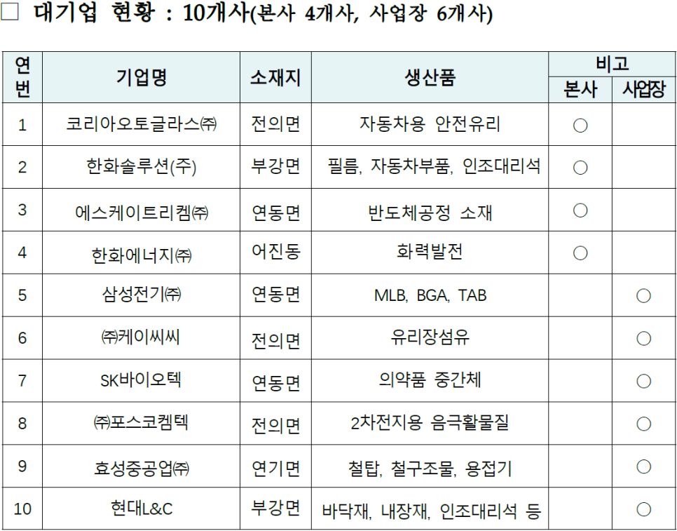 세종시 관내 대기업 현황 관련 이미지 1