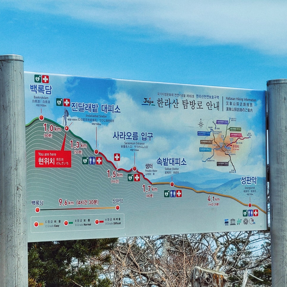 3박4일 제주~ 인스타에 안올린 사진만 관련 이미지 5