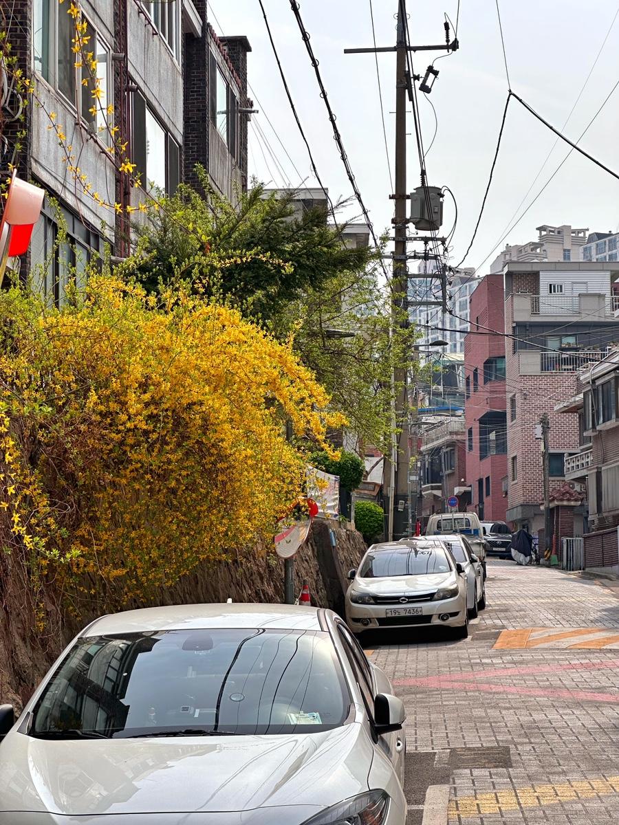 치과 선후배 원장님들과의 교류 (희망편) 관련 이미지 4