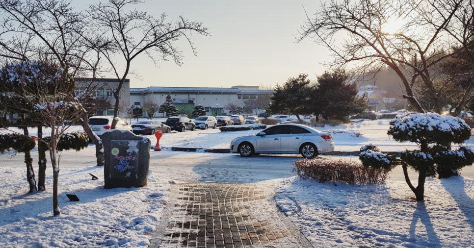 교도소 수용자를 대학병원에 입원시킨 치과의사 이야기 관련 이미지 2