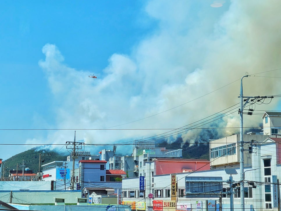 8주차 페닥일기 관련 이미지 2