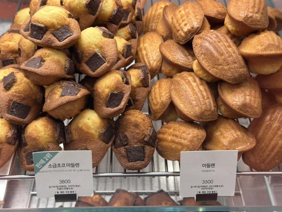 강남 치과 대표원장의 진짜 그냥 일상 얘기 관련 이미지 5