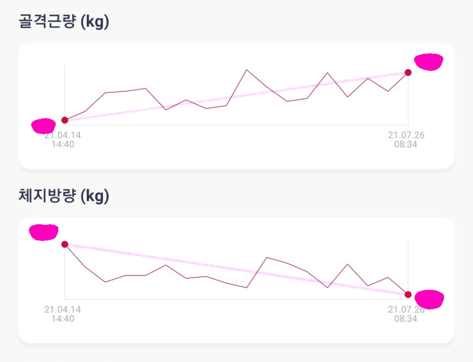 헬스장 처음 가는 당신을 런닝머신 밖으로 꺼내줄 사람 <책> 강경원의 백 투 베이직 관련 이미지 1