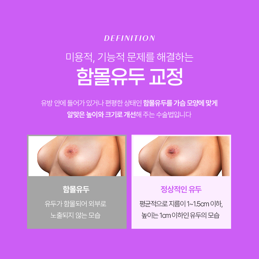 Why Understanding the Structure Matters in Nipple Inversion Correction Methods image 3
