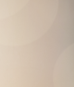 Removing Auxiliary Breast Fat to Achieve a Smooth Upper Body Line image 13