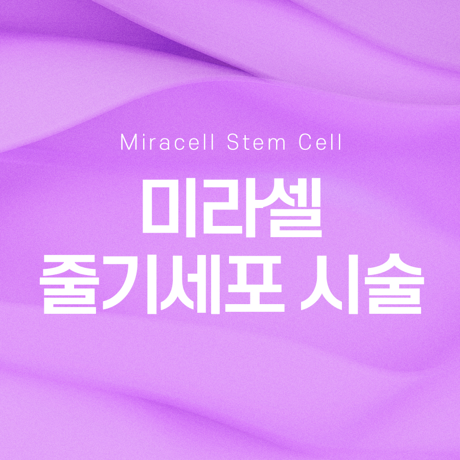 미라셀 줄기세포 시술 과정 살펴본다면 관련 이미지 2