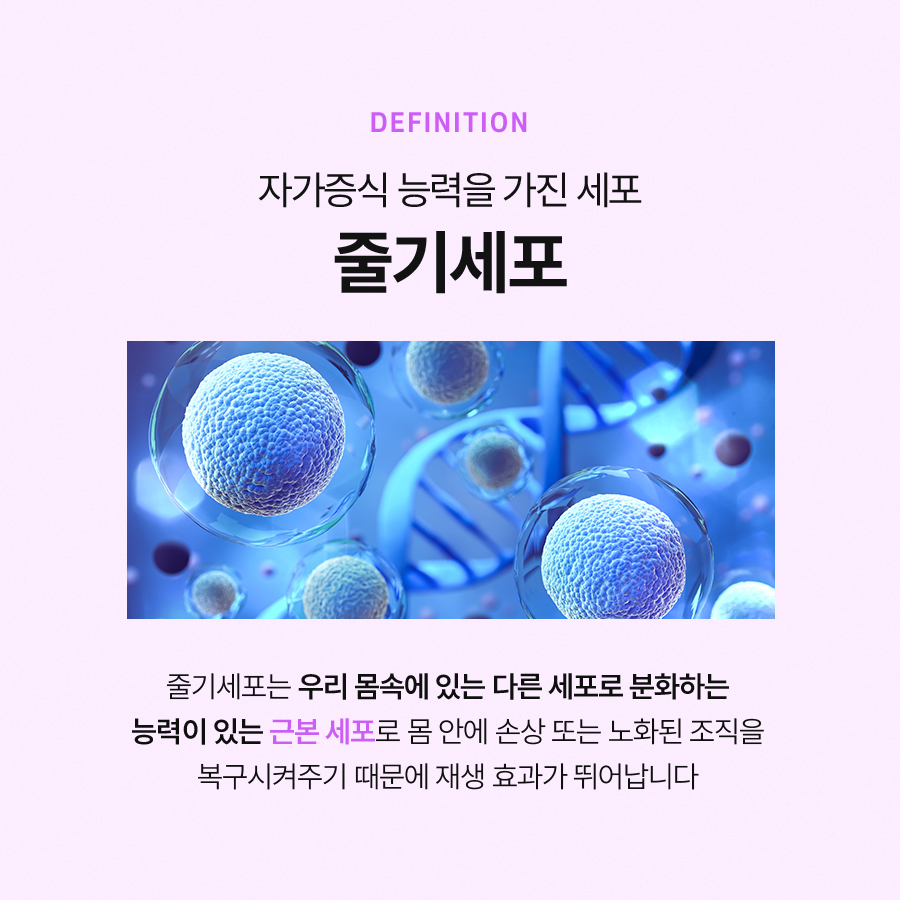 미라셀 줄기세포 시술 과정 살펴본다면 관련 이미지 5