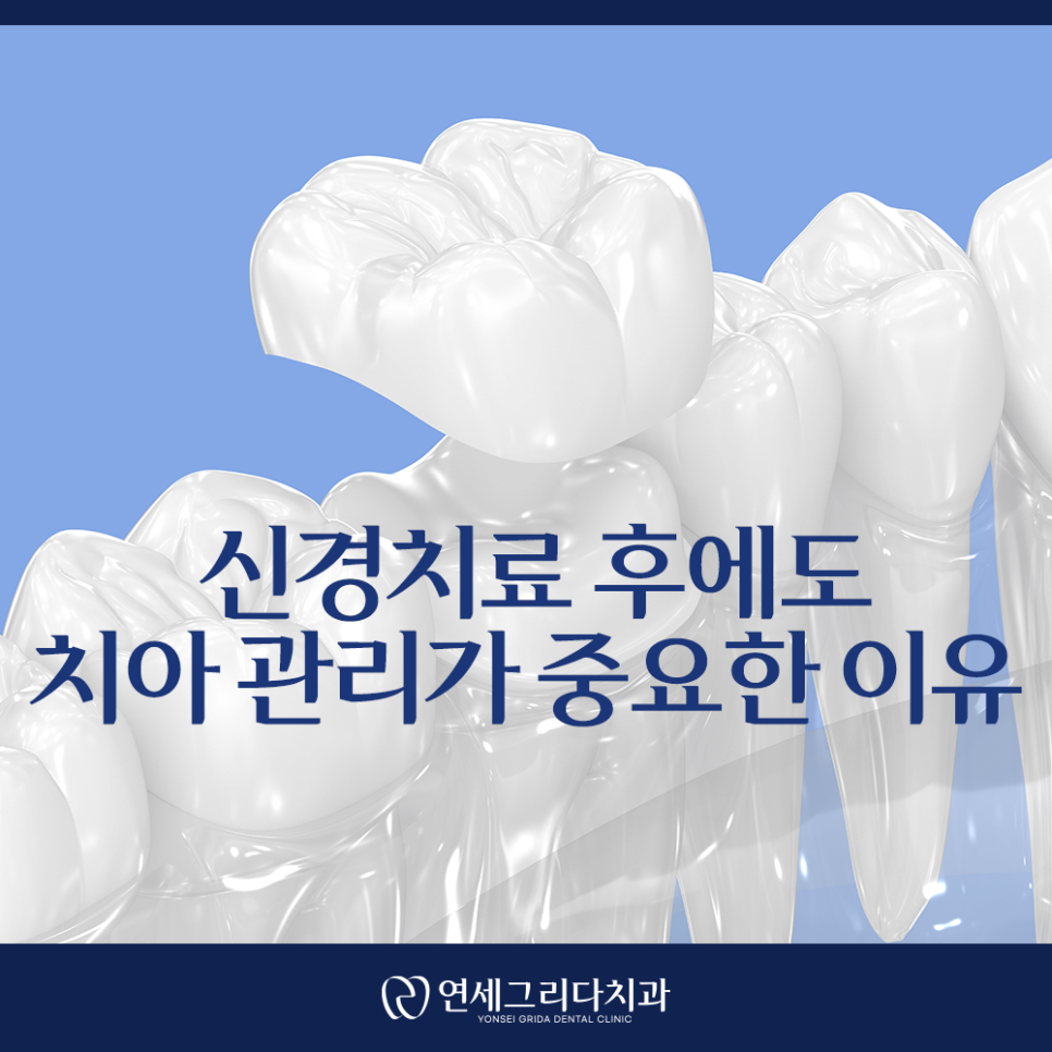 염창역신경치료, 신경치료가 필요한 치아의 신호는? 관련 이미지 6