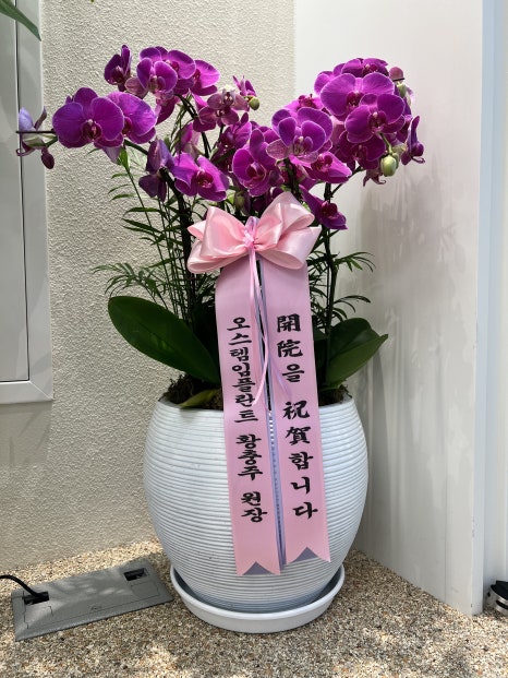 개원, 두번 째 이야기 관련 이미지 7