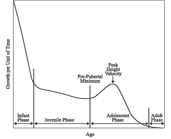 대치동 성장기 아이 치아교정의 최적기는? 관련 이미지 2