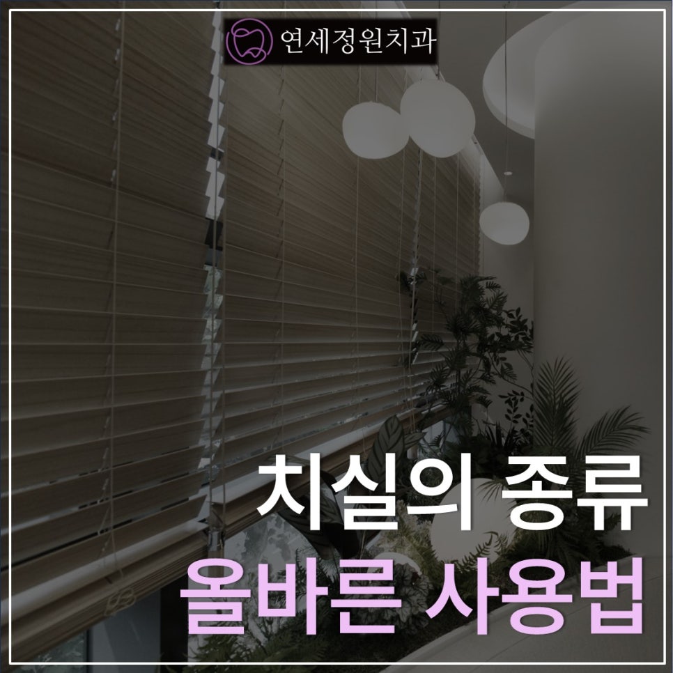 치실 종류 및 올바른 사용법, 대치동교정치과 연세정원치과 관련 이미지 1