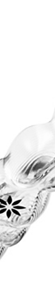 Types and Features of Invisalign Clear Aligners image 4
