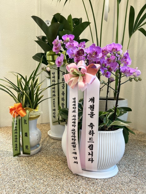 개원, 두번 째 이야기 관련 이미지 6