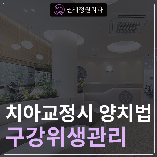 치아교정시 양치법 및 구강위생관리 방법 관련 이미지 1