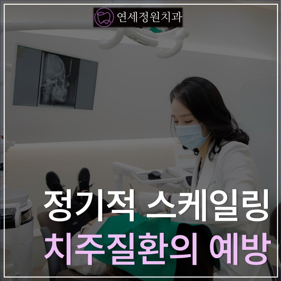 정기적인 스케일링! 치태-치석-치주질환-발치의 악순환을 예방하는 방법 @ 연세정원치과의원 관련 이미지 1