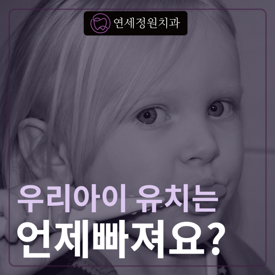 우리 아이 유치는 언제 빠질까요? (대치동 소아치과 연세정원치과) 관련 이미지 1