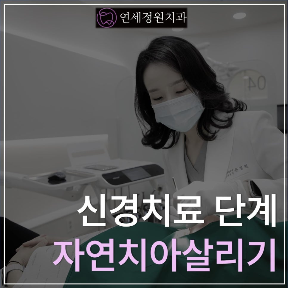 자연치아 살리기 - 신경치료 절차 및 통증 완화 @대치동 연세정원치과 관련 이미지 1