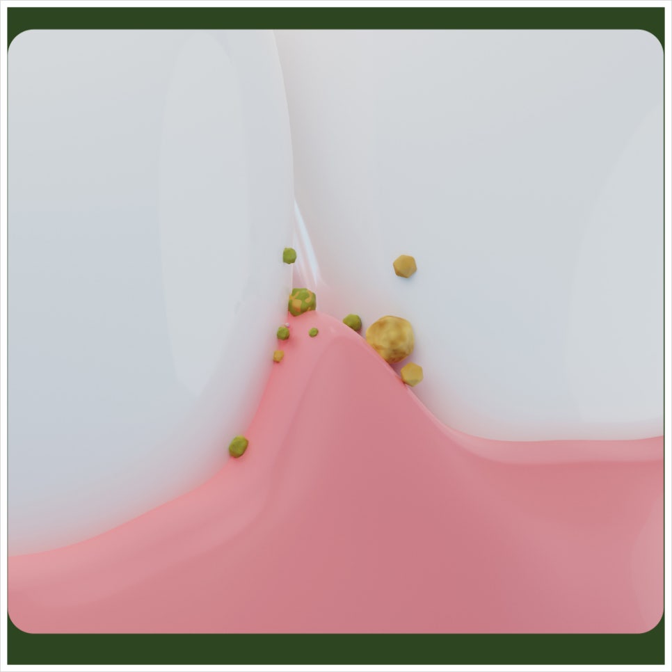 Scaling Health Insurance, Make Sure to Get It Regularly! image 2