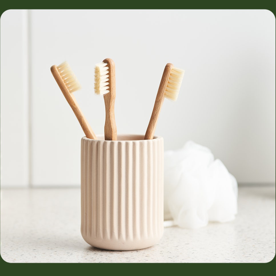 How to Store Your Toothbrush: Let’s Learn with Seoulove Dental Hospital! image 3