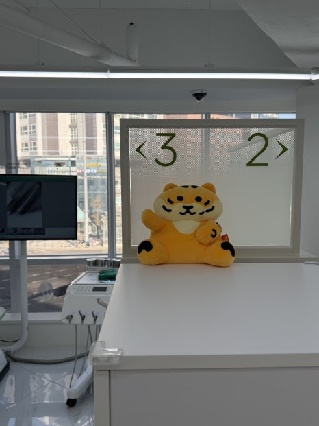 Jamsil Wisdom Tooth Extraction: If It Doesn’t Hurt, Is It Okay to Keep Putting It Off? image 16