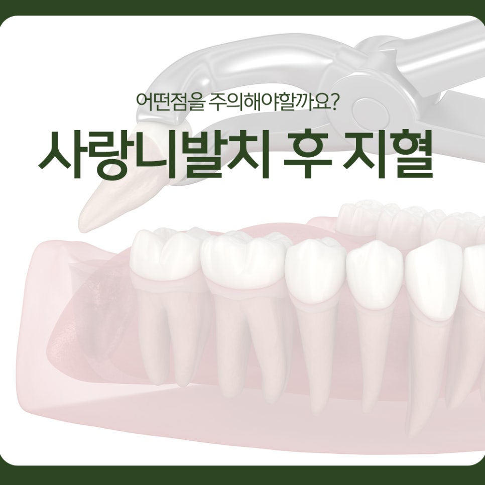 After Wisdom Tooth Extraction: What Should You Watch for With Bleeding Control? image 1