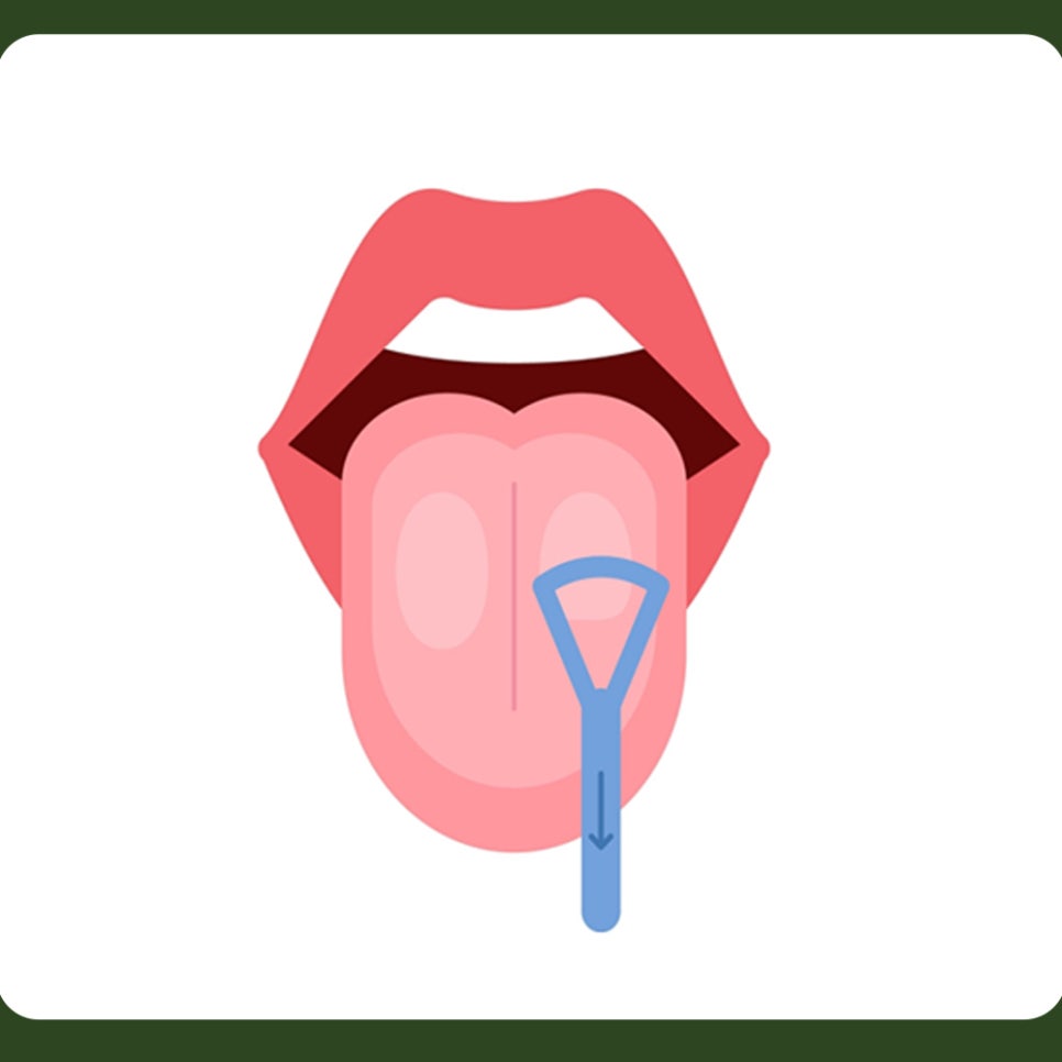 How to Use a Tongue Cleaner: Please Keep Your Tongue Clean, Too! image 3
